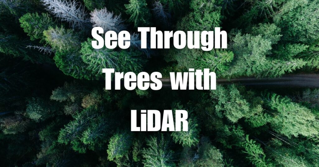 See Through Trees with LiDAR