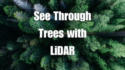 See Through Trees with LiDAR