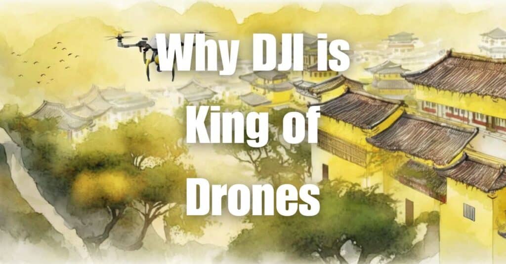 Why DJI is King